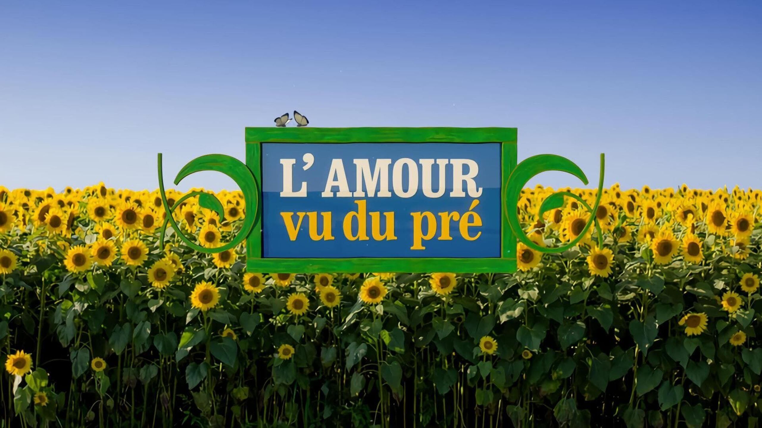 L Amour Vu Du Pre En Streaming Direct Et Replay Sur Canal Mycanal