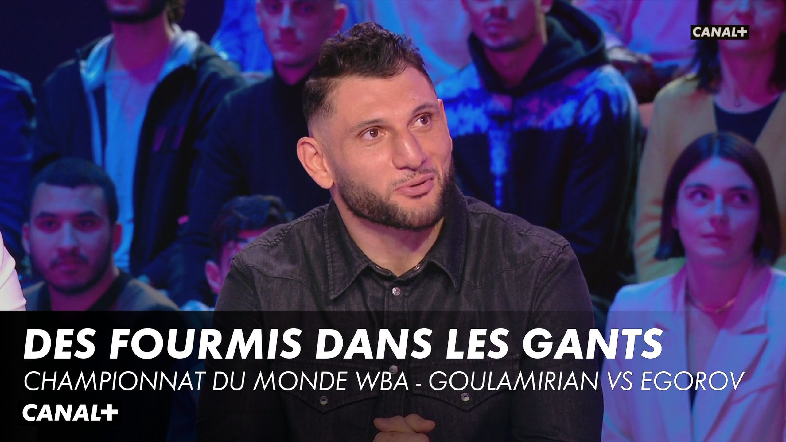 Goulamirian Des Fourmis Dans Les Gants - Championnat Du Monde WBA Des ...