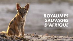 Royaumes sauvages d'Afrique