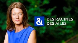 Des racines et des ailes