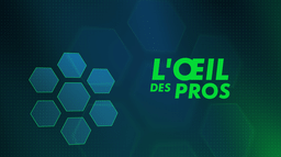 L'Oeil des Pros