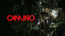 Camino