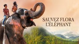 Sauvez Flora l'éléphant