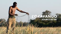 L'Okavango, source de vie