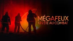 Mégafeux, un été au combat