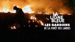 Les gardiens de la forêt des Landes