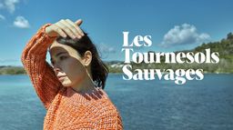 Les tournesols sauvages