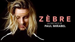 Paul Mirabel : Zèbre