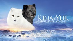 Kina & Yuk : renards de la banquise