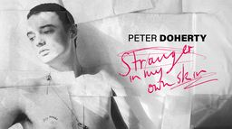 Peter Doherty : Stranger in my own skin