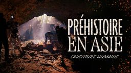 Préhistoire en Asie : L'aventure humaine