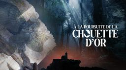 A la poursuite de la chouette d'or