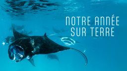 Notre année sur Terre