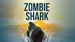 Zombie Shark