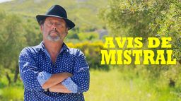 Avis de mistral