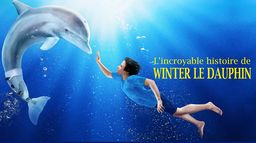 L'incroyable histoire de Winter le dauphin