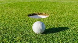 Golf : Open de Fort Worth