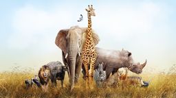 La vie secrète du zoo