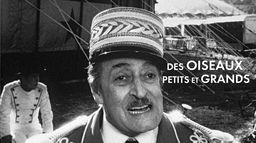 Des oiseaux petits et grands