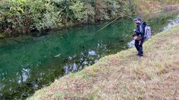 Le brochet à la mouche