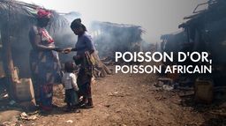 Poisson d'or, poisson africain