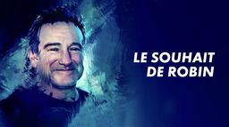 Le souhait de Robin