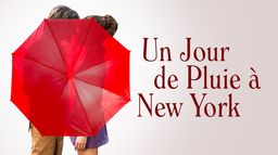 Un jour de pluie à New York