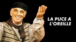La puce à l'oreille