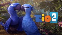 Rio 2
