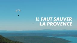 Il faut sauver...