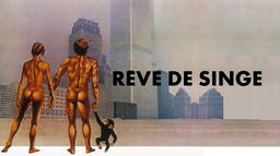 Rêve de singe