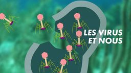 Les virus et nous