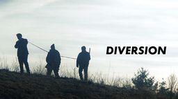 Diversion
