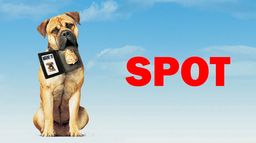 Spot