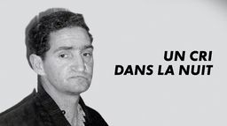 Un cri dans la nuit