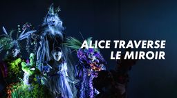 Alice traverse le miroir