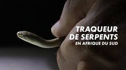 Traqueur de serpents en Afrique du Sud