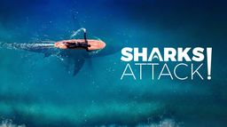 Sharks Attack !