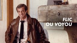 Flic ou voyou