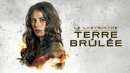 Le labyrinthe : la terre brûlée