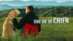 Une vie de chien