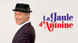 La Gaule d'Antoine