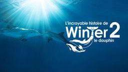 L'incroyable histoire de Winter le dauphin 2