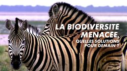 La biodiversité menacée