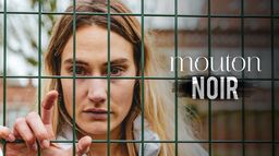 Mouton noir