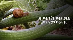 Le petit peuple du potager