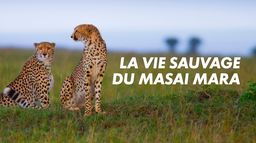La vie sauvage du Masai Mara