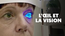 L'oeil et la vision : focus sur les avancées scientifiques