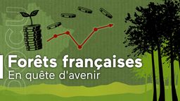 Forêts françaises, en quête d'avenir