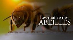 Les maîtres des abeilles